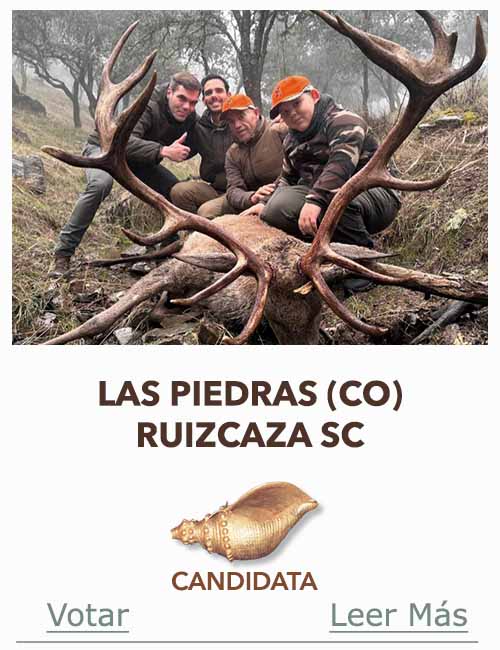 Monteria Candidata a Caracola